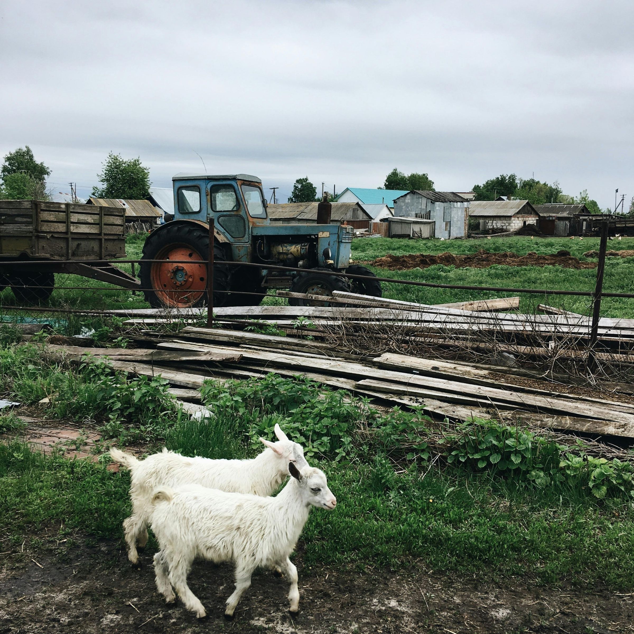 Food Industry Supply